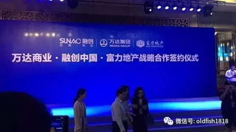 一、y44800万达利新觉影视平台概述