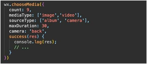 3. 注意视频播放器的选择