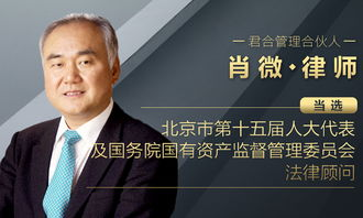 五、律师社会责任与挑战