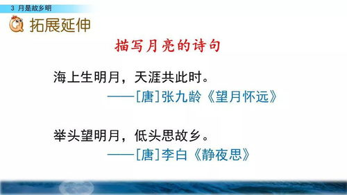 五、观看后的深度解析与讨论