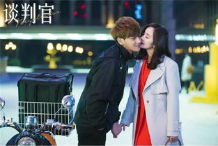 二、电视剧简介及背景