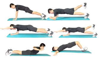 二、基础体能训练