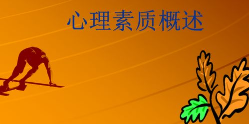 四、心理素质培养