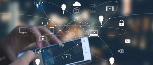 二、如何使用gogogo平台观看视频