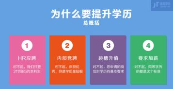 三、gogogo平台的视频内容分类
