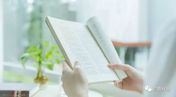 三、爱情观与生活哲学