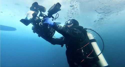 二、水下环境下的僵尸形象设计