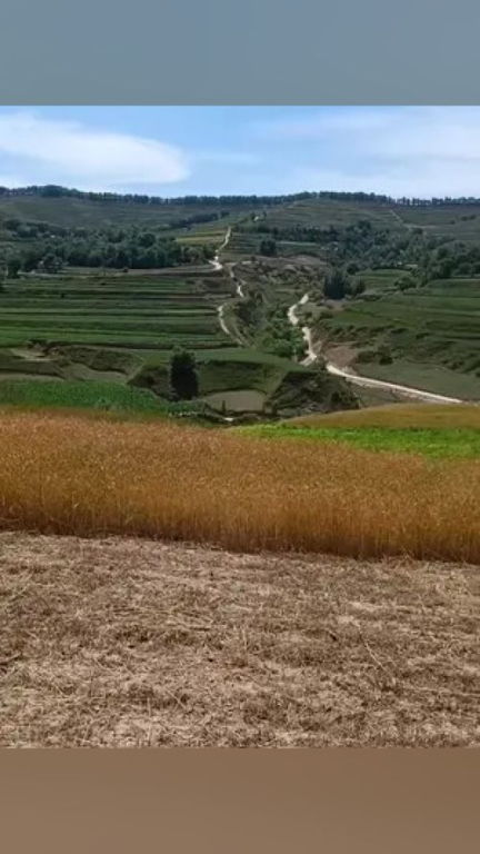 三、在线观赏——随时随地享受自然风光