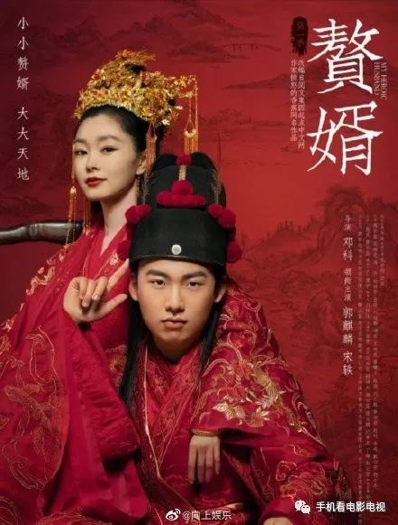 一、赘婿电视剧背景及剧情简介