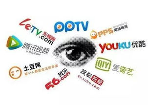 五、高清视频资源维护与版权意识