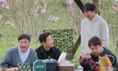 五、校园生活的真实写照