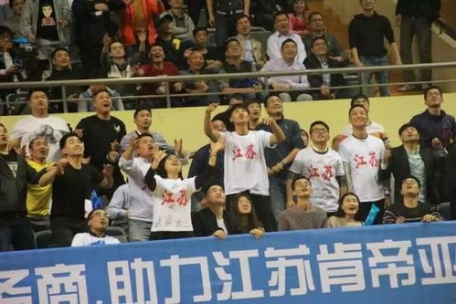 二、体育赛事直播：体育迷的专属时段