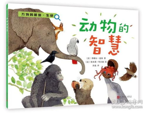 三、动物智慧的启示