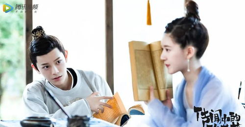 二、角色塑造与情感共鸣