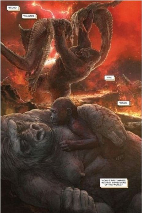 一、金刚骷髅岛概述：揭开神秘的面纱