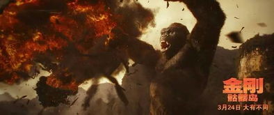 三、金刚骷髅岛的生态环境：探索自然之谜