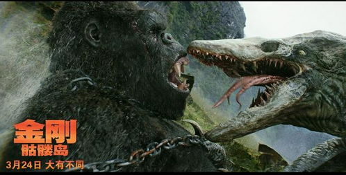 四、探险家的足迹：金刚骷髅岛的人类探索