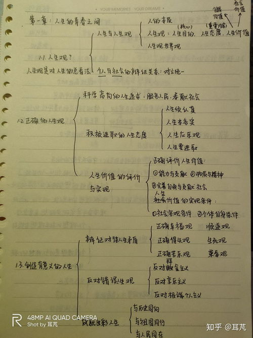 五、三十六计的道德与法律边界