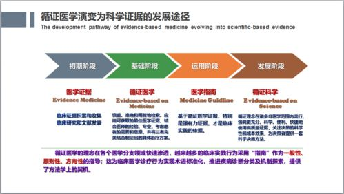 四、社会价值观的传达