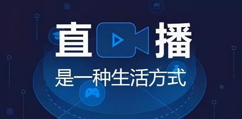 一、选择合法播放平台