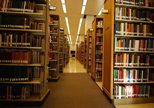 三、数字图书馆和公共资源