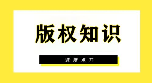 2. 注意版权问题
