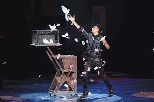 四、魔术表演《幻境奇遇》