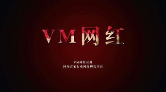 四、黑白直播的商业模式探讨