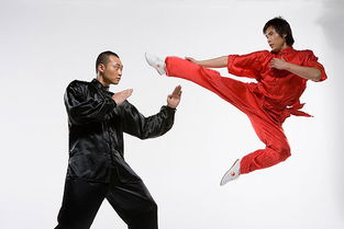 五、武术：英雄豪杰