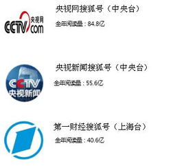 二、电视台官方渠道