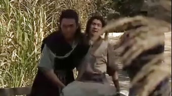 三、西厢奇缘的情感发展线索