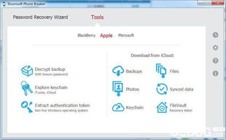 二、确保设备兼容性