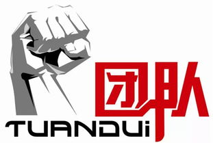 一、明确团队目标与愿景