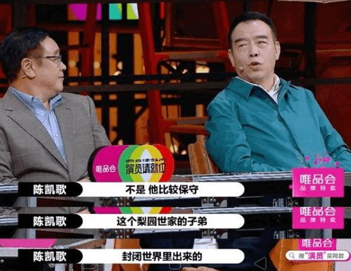 五、演员的演技评价与未来展望