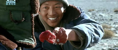 二、免费在线观看冷门电影的途径