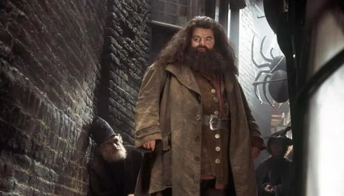 三、哈利波特电影中的经典角色