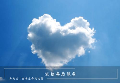 四、背叛的宽恕：心灵救赎与情感重建