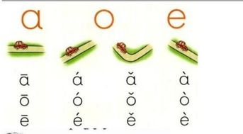 三、复合韵母与声调的掌握