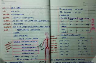 四、利用笔记工具，整理阅读心得