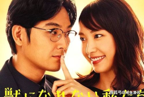 二、日剧的情感细腻