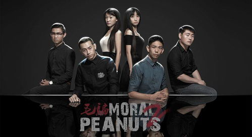 五、国产剧的多样魅力