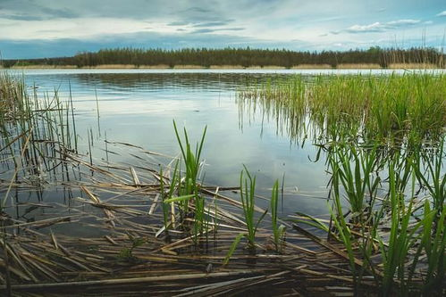 三、生态保护区的环境保护意义