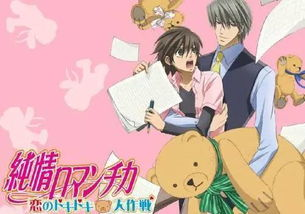 二、纯情罗曼史对个人成长的影响