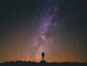 一、麻花星空无限传媒的业务范畴