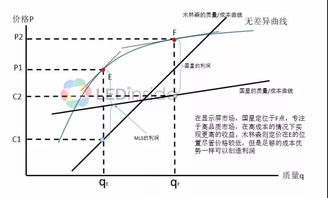 三、竞争优势分析