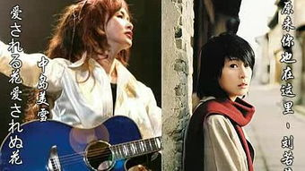 五、经典翻唱与传承