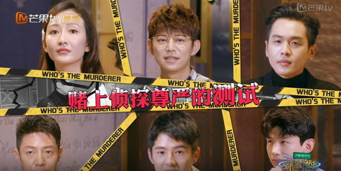 二、如何快速找到心仪的电视剧