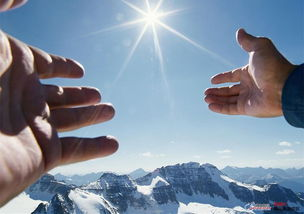 四、未来展望与期待