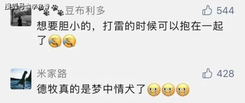 落地前的“必修课”:别让“菜”成为你被淘汰的第一原因