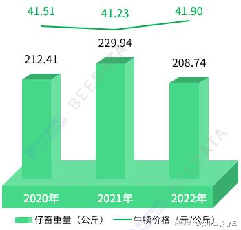 三、影响矿工费成本的关键因素分析
